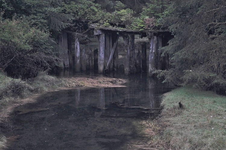 trestle over water 